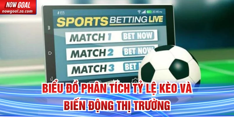 Biểu đồ phân tích tỷ lệ kèo và biến động thị trường