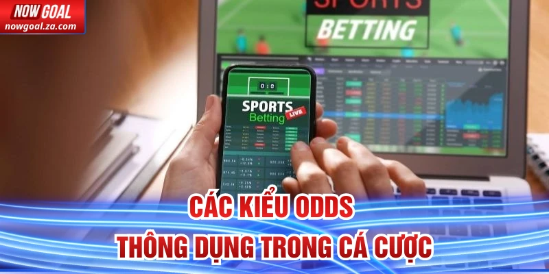 Các kiểu odds thông dụng trong cá cược